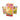 Pokemon TCG Gem Pack Vol 4 Booster Box CBB4C Simplified Chinese - image 6