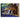 Magic: The Gathering Star Trek - Bundle