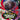 Pokemon TCG Perfect Order icon